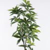Artificial Tree Pachira macrocarpa in PP pot 216 lvs GS-30426060_6 Artificial Tree 51*48*170cm Pachira macrocarpa in PP pot/216 lvs GS-30426060 2026Jul 3,000+ sqm showroom with thousands of artificial flowers, plants & trees ready for global sourcing.