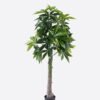 Artificial Tree Pachira macrocarpa in PP pot 294 lvs GS-30426028_3 Artificial Tree 68*60*150cm Pachira macrocarpa in PP pot/294 lvs GS-30426028 2026Jul 3,000+ sqm showroom with thousands of artificial flowers, plants & trees ready for global sourcing.