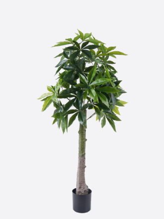 Artificial Tree 65*60*120cm Pachira macrocarpa in PP pot/204 lvs GS-30426027 2026Jul 3,000+ sqm showroom with thousands of artificial flowers, plants & trees ready for global sourcing.