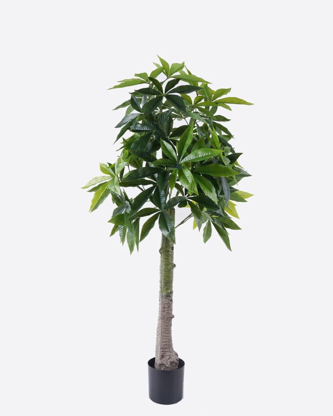 Artificial Tree 68*60*150cm Pachira macrocarpa in PP pot/294 lvs GS-30426028 2026Jul 3,000+ sqm showroom with thousands of artificial flowers, plants & trees ready for global sourcing.
