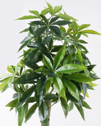 Artificial Tree 68*60*150cm Pachira macrocarpa in PP pot/294 lvs GS-30426028 2026Jul 3,000+ sqm showroom with thousands of artificial flowers, plants & trees ready for global sourcing.