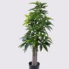 Artificial Tree Pachira macrocarpa in PP pot 348 lvs GS-30426029 Artificial Tree 70*60*160cm Pachira macrocarpa in PP pot/348 lvs GS-30426029 2026Jul 3,000+ sqm showroom with thousands of artificial flowers, plants & trees ready for global sourcing.