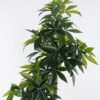 Artificial Tree Pachira macrocarpa in PP pot 348 lvs GS-30426029_7 Artificial Tree 70*60*160cm Pachira macrocarpa in PP pot/348 lvs GS-30426029 2026Jul 3,000+ sqm showroom with thousands of artificial flowers, plants & trees ready for global sourcing.