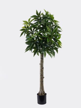 Artificial Tree 62*40*120cm Frangipani *5 in PP pot/70 lvs GS-30426059 2026Jul 3,000+ sqm showroom with thousands of artificial flowers, plants & trees ready for global sourcing.