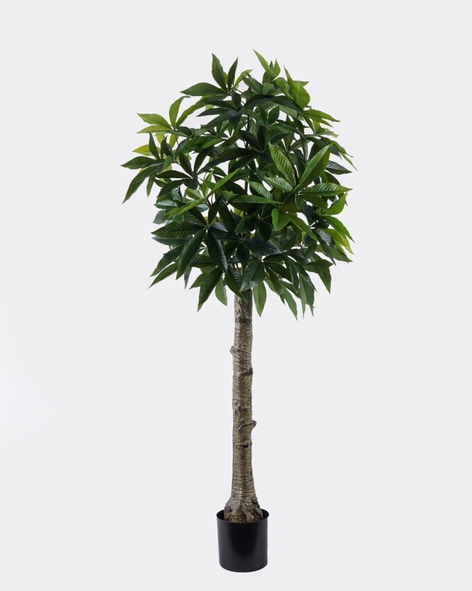 Artificial Tree 69*56*170cm Pachira macrocarpa in PP pot/360 lvs GS-30426062 2026Jul 3,000+ sqm showroom with thousands of artificial flowers, plants & trees ready for global sourcing.