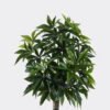Artificial Tree Pachira macrocarpa in PP pot 360 lvs GS-30426062_6 Artificial Tree 69*56*170cm Pachira macrocarpa in PP pot/360 lvs GS-30426062 2026Jul 3,000+ sqm showroom with thousands of artificial flowers, plants & trees ready for global sourcing.