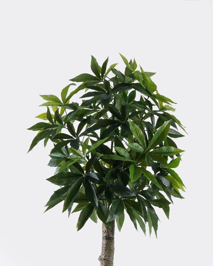 Artificial Tree 69*56*170cm Pachira macrocarpa in PP pot/360 lvs GS-30426062 2026Jul 3,000+ sqm showroom with thousands of artificial flowers, plants & trees ready for global sourcing.