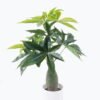Artificial Tree Pachira macrocarpa in PP pot 72 lvs GS-30426025 Artificial Tree 55*46*80cm Pachira macrocarpa in PP pot/72 lvs GS-30426025 2026Jul 3,000+ sqm showroom with thousands of artificial flowers, plants & trees ready for global sourcing.