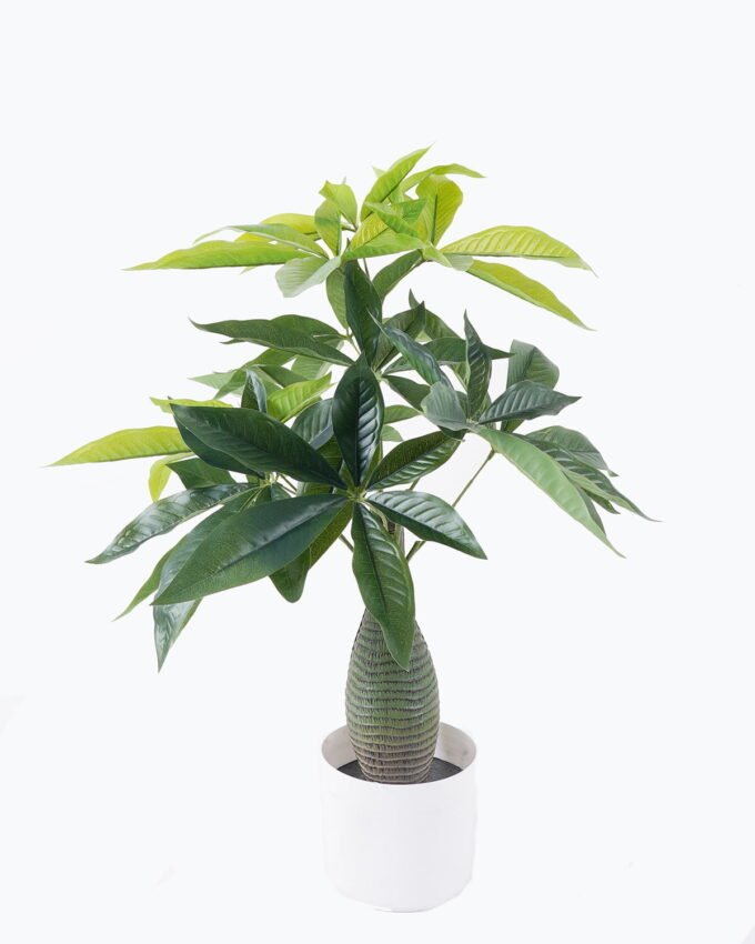 Artificial Tree 55*46*80cm Pachira macrocarpa in PP pot/72 lvs GS-30426025 2026Jul 3,000+ sqm showroom with thousands of artificial flowers, plants & trees ready for global sourcing.