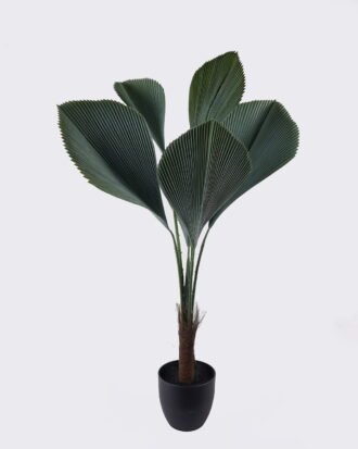 Artificial Tree 60*60*120cm Palm Tree *6 in PP pot/6 lvs GS-02226025 2026Jun 3,000+ sqm showroom with thousands of artificial flowers, plants & trees ready for global sourcing. Artificial Tree 60*60*120cm Palm Tree *6 in PP pot/6 lvs GS-02226025 2026Jun 3,000+ sqm showroom with thousands of artificial flowers, plants & trees ready for global sourcing.