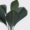 Artificial Tree Palm Tree 6 in PP pot 6 lvs GS-02226025_6 Artificial Tree 60*60*120cm Palm Tree *6 in PP pot/6 lvs GS-02226025 2026Jun 3,000+ sqm showroom with thousands of artificial flowers, plants & trees ready for global sourcing.