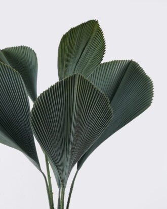 Artificial Tree 60*60*120cm Palm Tree *6 in PP pot/6 lvs GS-02226025 2026Jun 3,000+ sqm showroom with thousands of artificial flowers, plants & trees ready for global sourcing. Artificial Tree 60*60*120cm Palm Tree *6 in PP pot/6 lvs GS-02226025 2026Jun 3,000+ sqm showroom with thousands of artificial flowers, plants & trees ready for global sourcing.