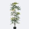 Artificial Tree Queensland umbrella tree in PP pot GS-76126007KD Artificial Tree 56*50*120cm Queensland umbrella tree in PP pot GS-76126007KD 2026Aug 3,000+ sqm showroom with thousands of artificial flowers, plants & trees ready for global sourcing.