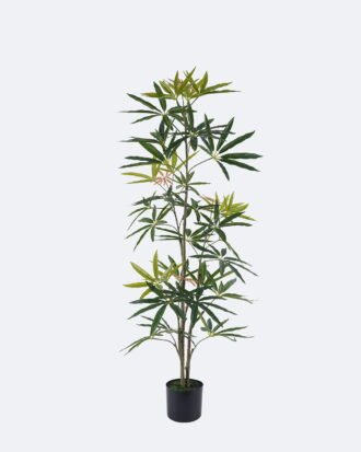 Artificial Tree 56*50*120cm Queensland umbrella tree in PP pot GS-76126007KD 2026Aug 3,000+ sqm showroom with thousands of artificial flowers, plants & trees ready for global sourcing. Artificial Tree 56*50*120cm Queensland umbrella tree in PP pot GS-76126007KD 2026Aug 3,000+ sqm showroom with thousands of artificial flowers, plants & trees ready for global sourcing.