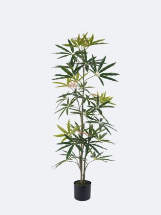 Artificial Tree 58*40*150cm Queensland umbrella tree in PP pot GS-76126008KD 2026Aug 3,000+ sqm showroom with thousands of artificial flowers, plants & trees ready for global sourcing.