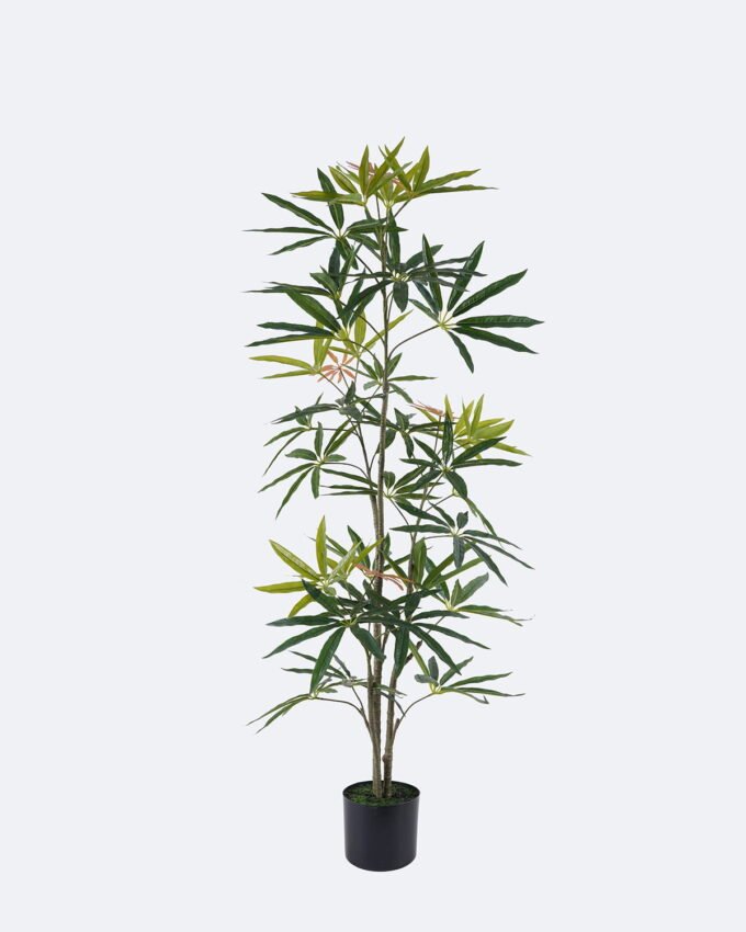 Artificial Tree 56*50*120cm Queensland umbrella tree in PP pot GS-76126007KD 2026Aug 3,000+ sqm showroom with thousands of artificial flowers, plants & trees ready for global sourcing.