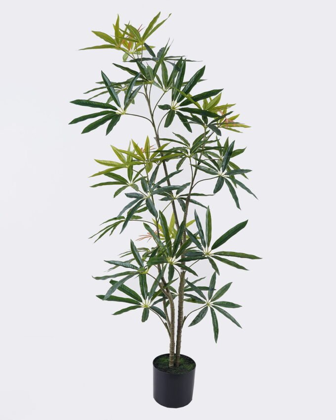 Artificial Tree 58*40*150cm Queensland umbrella tree in PP pot GS-76126008KD 2026Aug 3,000+ sqm showroom with thousands of artificial flowers, plants & trees ready for global sourcing.