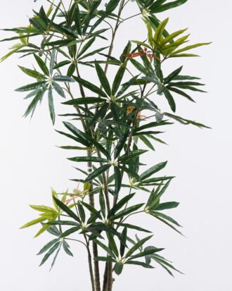 Artificial Tree 58*40*150cm Queensland umbrella tree in PP pot GS-76126008KD 2026Aug 3,000+ sqm showroom with thousands of artificial flowers, plants & trees ready for global sourcing. Artificial Tree 58*40*150cm Queensland umbrella tree in PP pot GS-76126008KD 2026Aug 3,000+ sqm showroom with thousands of artificial flowers, plants & trees ready for global sourcing.