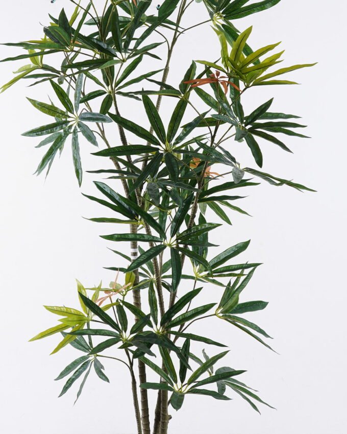 Artificial Tree 58*40*150cm Queensland umbrella tree in PP pot GS-76126008KD 2026Aug 3,000+ sqm showroom with thousands of artificial flowers, plants & trees ready for global sourcing.