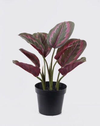 Artificial Tree 28*25*38cm RED Peacock in PP pot/8 lvs GS-30426042-G1 2026Jul 3,000+ sqm showroom with thousands of artificial flowers, plants & trees ready for global sourcing. Artificial Tree 28*25*38cm RED Peacock in PP pot/8 lvs GS-30426042-G1 2026Jul 3,000+ sqm showroom with thousands of artificial flowers, plants & trees ready for global sourcing.