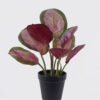 Artificial Tree RED Peacock in PP pot 8 lvs GS-30426042-G2 Artificial Tree 28*25*38cm RED Peacock in PP pot/8 lvs GS-30426042-G2 2026Jul 3,000+ sqm showroom with thousands of artificial flowers, plants & trees ready for global sourcing.