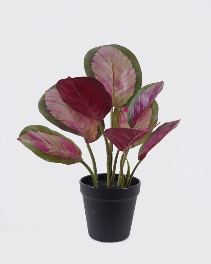 Artificial Tree 28*25*38cm RED Peacock in PP pot/8 lvs GS-30426042-G2 2026Jul 3,000+ sqm showroom with thousands of artificial flowers, plants & trees ready for global sourcing.