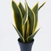 Artificial Tree Sansevieria 3 in PP pot 9 lvs GS-59526041 Artificial Tree 27*25*50cm Sansevieria *3 in PP pot/9 lvs GS-59526041 2026Aug 3,000+ sqm showroom with thousands of artificial flowers, plants & trees ready for global sourcing.