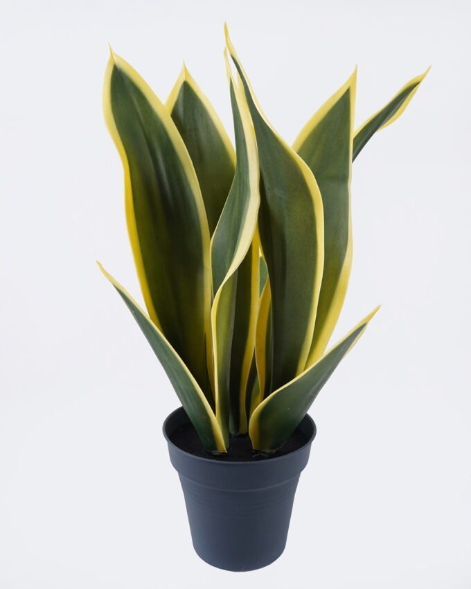 Artificial Tree 27*25*50cm Sansevieria *3 in PP  pot/9 lvs GS-59526041 2026Aug 3,000+ sqm showroom with thousands of artificial flowers, plants & trees ready for global sourcing.