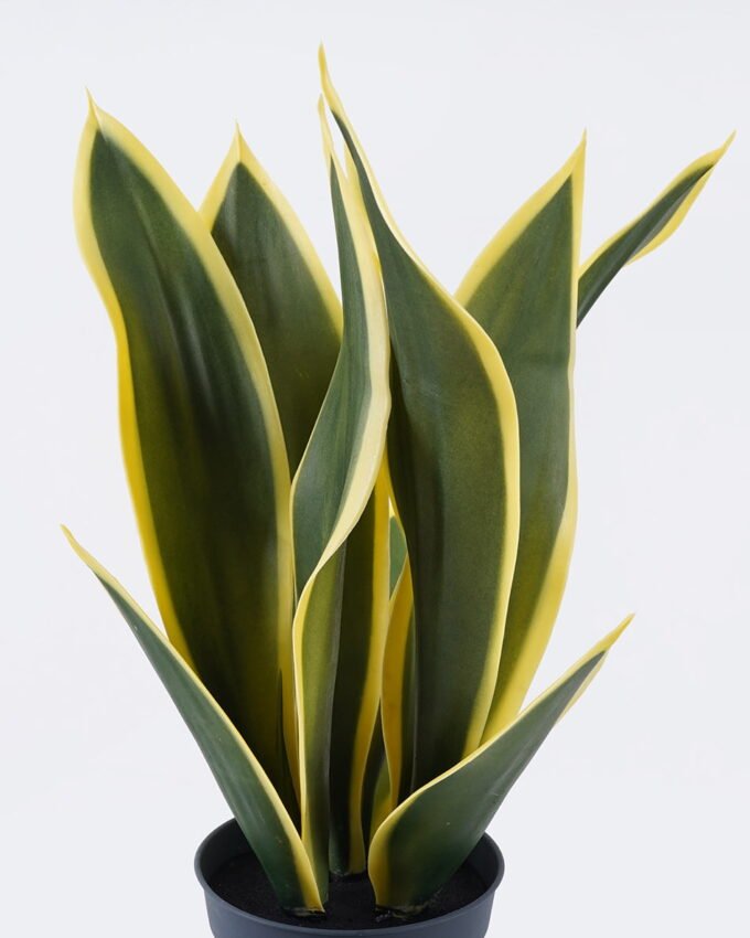 Artificial Tree 27*25*50cm Sansevieria *3 in PP  pot/9 lvs GS-59526041 2026Aug 3,000+ sqm showroom with thousands of artificial flowers, plants & trees ready for global sourcing.