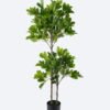 Artificial Tree Schefflera Octophylla 2 in PP pot GS-70226007_5 Artificial Tree 45*42*120cm Schefflera Octophylla *2 in PP pot GS-70226007 2026Aug 3,000+ sqm showroom with thousands of artificial flowers, plants & trees ready for global sourcing.