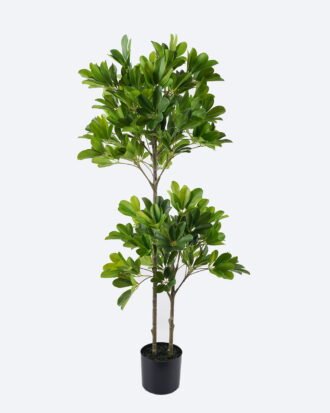 Artificial Tree 45*42*120cm Schefflera Octophylla *2 in PP pot GS-70226007 2026Aug 3,000+ sqm showroom with thousands of artificial flowers, plants & trees ready for global sourcing. Artificial Tree 45*42*120cm Schefflera Octophylla *2 in PP pot GS-70226007 2026Aug 3,000+ sqm showroom with thousands of artificial flowers, plants & trees ready for global sourcing.