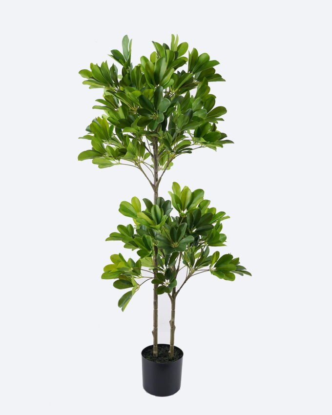 Artificial Tree 45*42*120cm Schefflera Octophylla *2  in PP pot GS-70226007 2026Aug 3,000+ sqm showroom with thousands of artificial flowers, plants & trees ready for global sourcing.