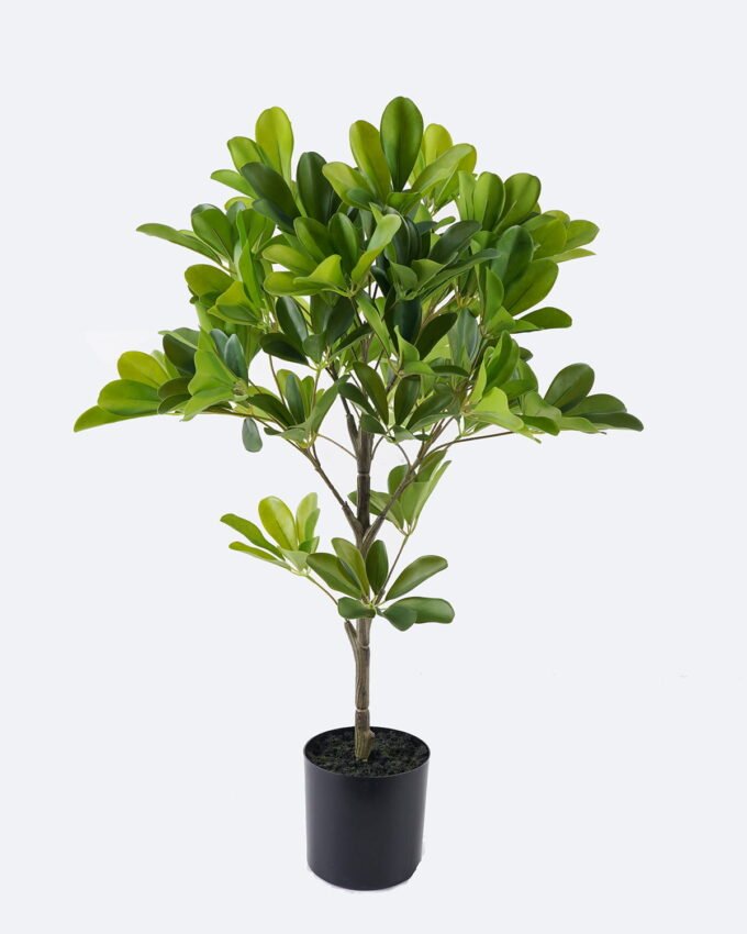 Artificial Tree 47*44*70cm Schefflera Octophylla  in PP pot GS-70226006 2026Aug 3,000+ sqm showroom with thousands of artificial flowers, plants & trees ready for global sourcing.