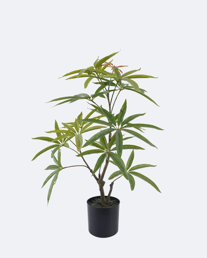 Artificial Tree 48*38*62cm Schefflera potted leaf in PP pot GS-76126006 2026Aug 3,000+ sqm showroom with thousands of artificial flowers, plants & trees ready for global sourcing.