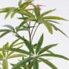Artificial Tree Schefflera potted leaf in PP pot GS-76126006_8 Artificial Tree 48*38*62cm Schefflera potted leaf in PP pot GS-76126006 2026Aug 3,000+ sqm showroom with thousands of artificial flowers, plants & trees ready for global sourcing.