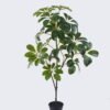 Artificial Tree Schefflera tree in PP pot GS-03326043_5 Artificial Tree 48*30*90cm Schefflera tree in PP pot GS-03326043 2026Jun 3,000+ sqm showroom with thousands of artificial flowers, plants & trees ready for global sourcing.
