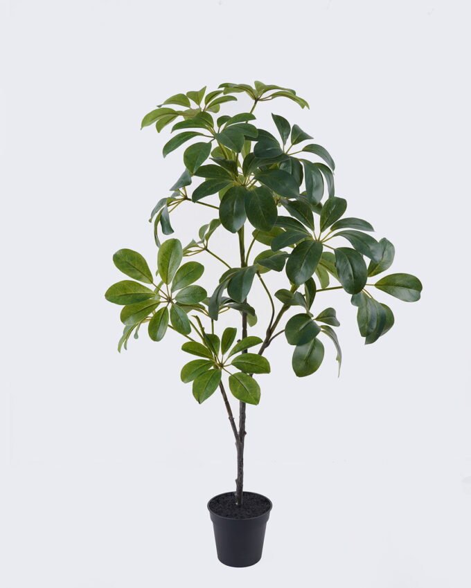 Artificial Tree 48*30*90cm  Schefflera tree in PP pot GS-03326043 2026Jun 3,000+ sqm showroom with thousands of artificial flowers, plants & trees ready for global sourcing.