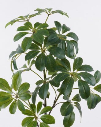 Artificial Tree 48*30*90cm Schefflera tree in PP pot GS-03326043 2026Jun 3,000+ sqm showroom with thousands of artificial flowers, plants & trees ready for global sourcing. Artificial Tree 48*30*90cm Schefflera tree in PP pot GS-03326043 2026Jun 3,000+ sqm showroom with thousands of artificial flowers, plants & trees ready for global sourcing.