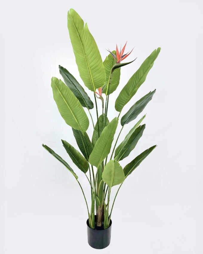 Artificial Tree 65*65*120cm Strelitzia *4 in PP pot/15 lvs GS-59526027 2026Aug 3,000+ sqm showroom with thousands of artificial flowers, plants & trees ready for global sourcing.