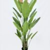 Artificial Tree 66*66*150cm Strelitzia *4 in PP pot/24 lvs GS-59526028 2026Aug 3,000+ sqm showroom with thousands of artificial flowers, plants & trees ready for global sourcing.