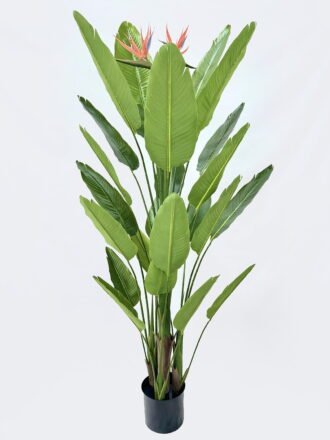 Artificial Tree 65*65*120cm Strelitzia *4 in PP pot/15 lvs GS-59526027 2026Aug 3,000+ sqm showroom with thousands of artificial flowers, plants & trees ready for global sourcing.