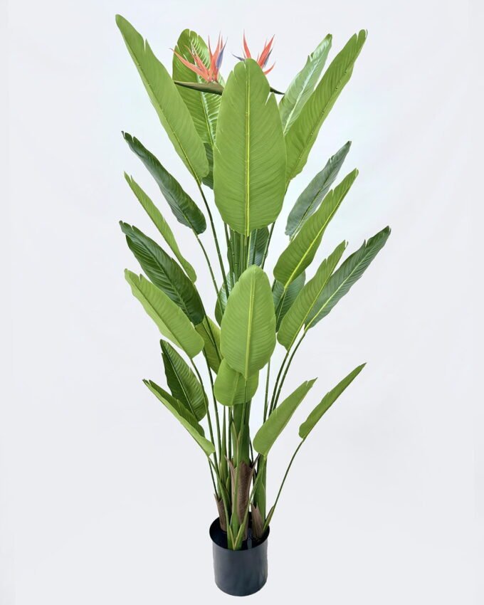 Artificial Tree 66*66*150cm Strelitzia *4 in PP pot/24 lvs GS-59526028 2026Aug 3,000+ sqm showroom with thousands of artificial flowers, plants & trees ready for global sourcing.