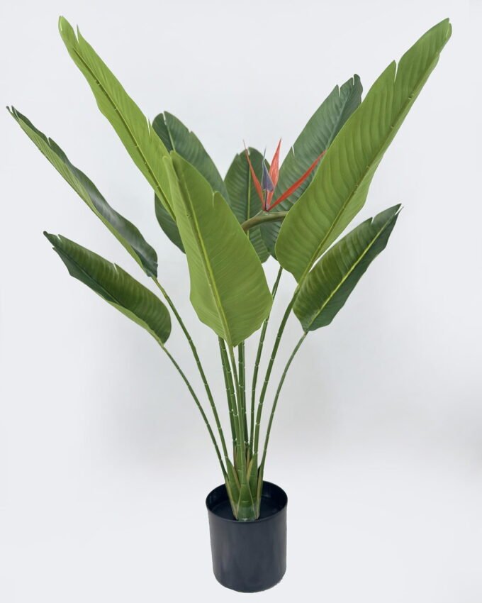 Artificial Tree 46*46*75cm Strelitzia in PP pot/9 lvs GS-59526025 2026Aug 3,000+ sqm showroom with thousands of artificial flowers, plants & trees ready for global sourcing.