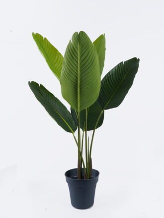 Artificial succulent 36*27*55cm Aloe in PP pot/10 lvs GS-59526043 2026Aug 3,000+ sqm showroom with thousands of artificial flowers, plants & trees ready for global sourcing.