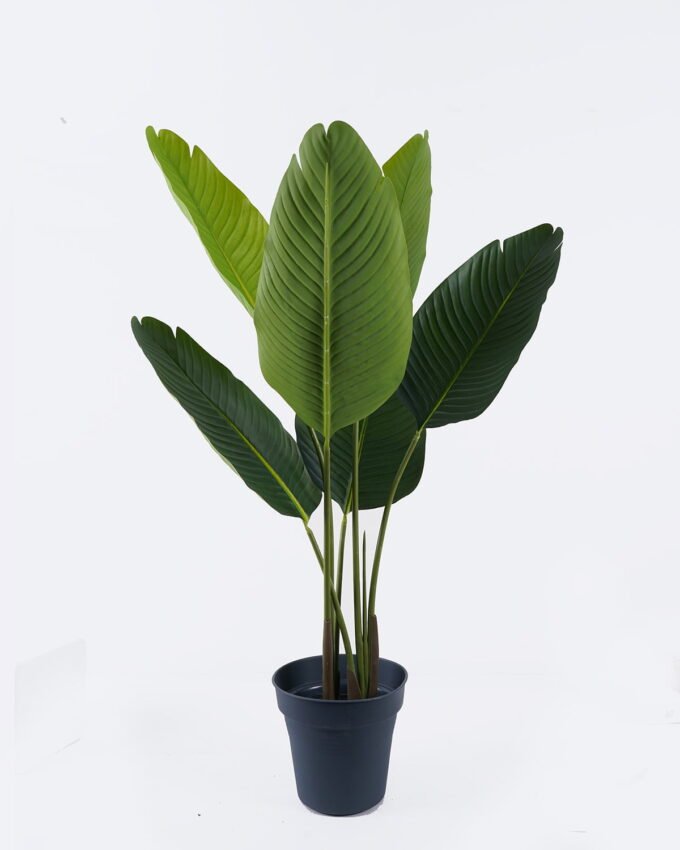 Artificial Tree 61*43*110cm Strelitziaceae *2 in PP pot/6 lvs GS-59526042 2026Aug 3,000+ sqm showroom with thousands of artificial flowers, plants & trees ready for global sourcing.
