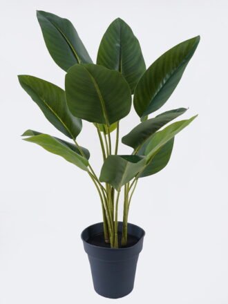 Artificial Tree 63*53*90cm Livistona rotundifolia in PP pot/8 lvs GS-59526045 2026Aug 3,000+ sqm showroom with thousands of artificial flowers, plants & trees ready for global sourcing.