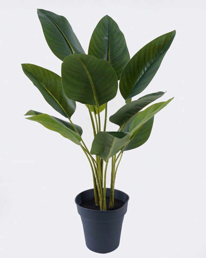 Artificial Tree 41*39*75cm Strelitziaceae  in PP pot/12 lvs GS-59526044 2026Aug 3,000+ sqm showroom with thousands of artificial flowers, plants & trees ready for global sourcing.