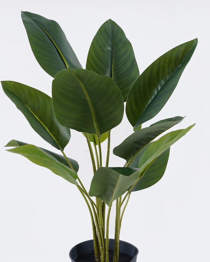 Artificial Tree Strelitziaceae in PP pot 12 lvs GS-59526044_3 Artificial Tree 41*39*75cm Strelitziaceae in PP pot/12 lvs GS-59526044 2026Aug 3,000+ sqm showroom with thousands of artificial flowers, plants & trees ready for global sourcing.