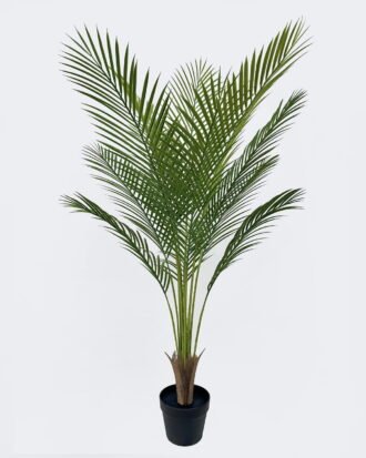 Artificial Tree 65*65*120cm The mallow tree *12 in PP pot/12 lvs GS-59526032 2026Aug 3,000+ sqm showroom with thousands of artificial flowers, plants & trees ready for global sourcing. Artificial Tree 65*65*120cm The mallow tree *12 in PP pot/12 lvs GS-59526032 2026Aug 3,000+ sqm showroom with thousands of artificial flowers, plants & trees ready for global sourcing.