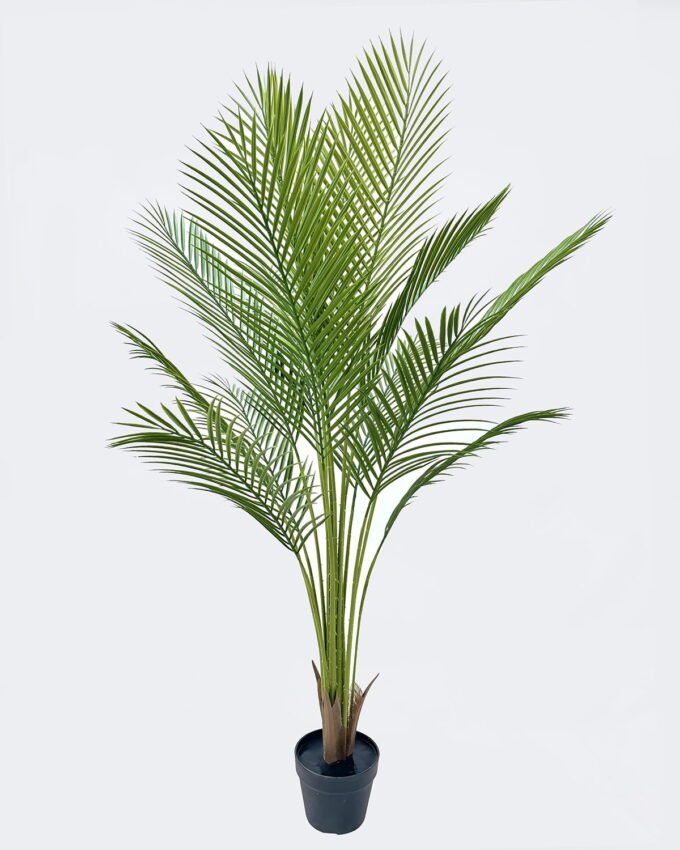 Artificial Tree 80*60*150cm The mallow tree *15 in PP pot/15 lvs GS-59526033 2026Aug 3,000+ sqm showroom with thousands of artificial flowers, plants & trees ready for global sourcing.